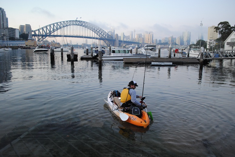 Kayak fisherman, launching early morning from Lavender Bay, Sydney Harbour